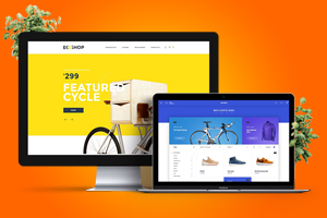 Website Designing